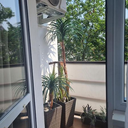 Apartman-Florianska Kösice Dış mekan fotoğraf